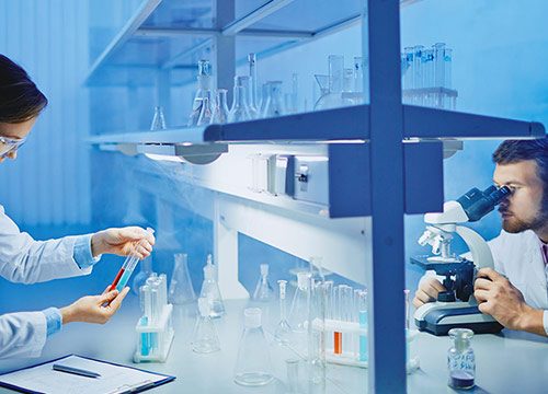 7 Laboratory Analysis