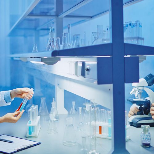 6 Laboratory Analysis