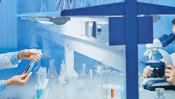 Laboratory Analysis
